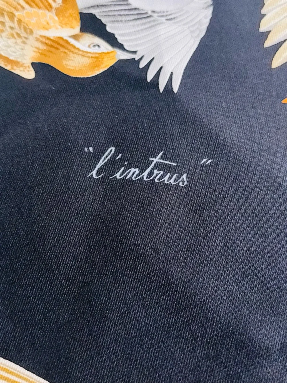 Hermès L'Intrus Silk Carré 90 Bird Scarf